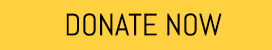 Donate Button with Credit Cards